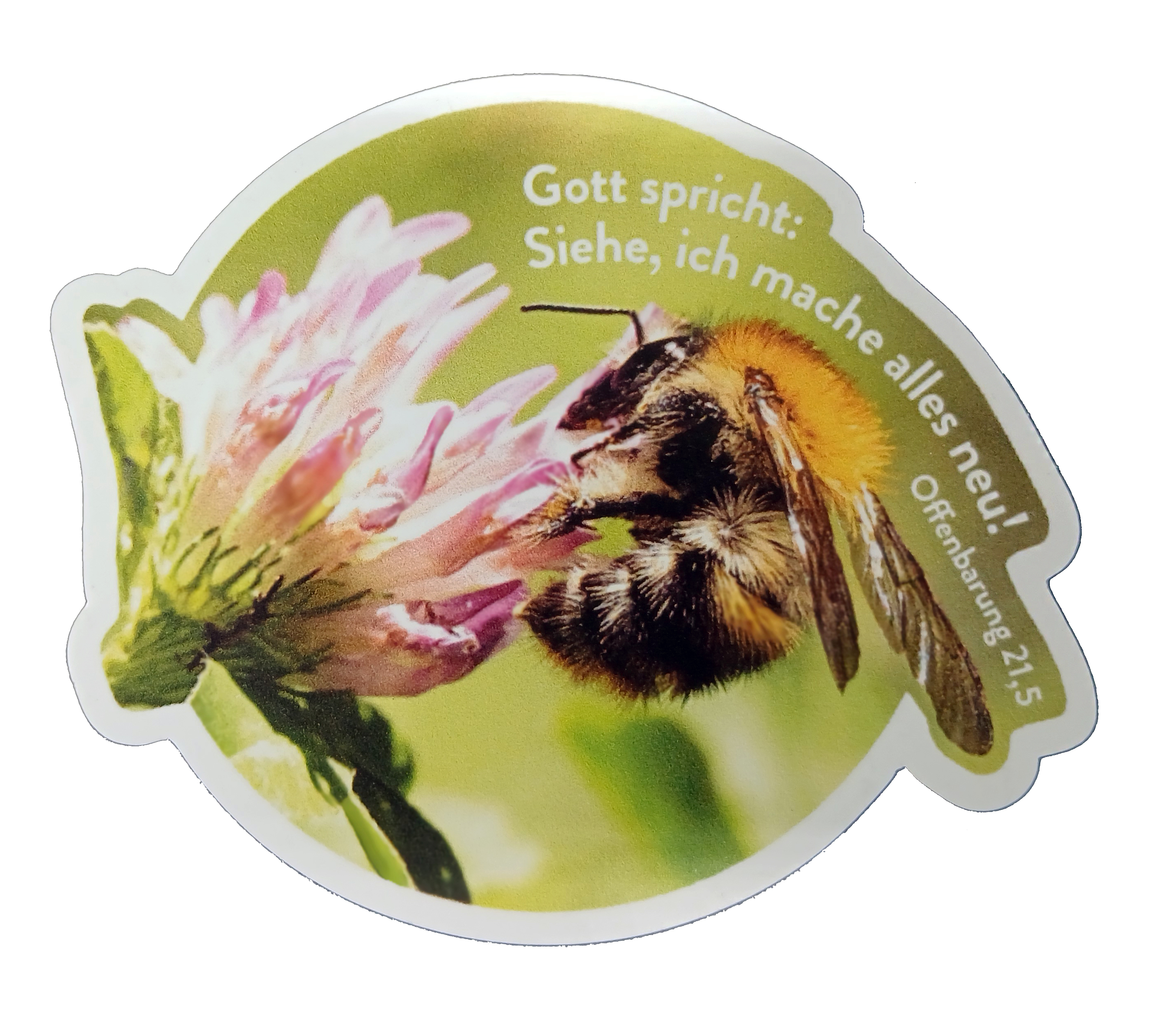Kühlschrankmagnet – zur Jahreslosung 2026: Motiv Biene