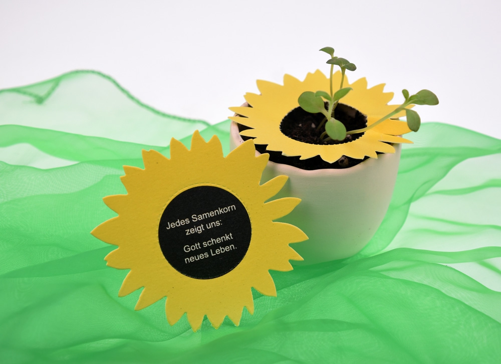 Pflanzkärtchen Sonnenblume - 1635 Pflanzkärtchen Sonnenblume - 1635