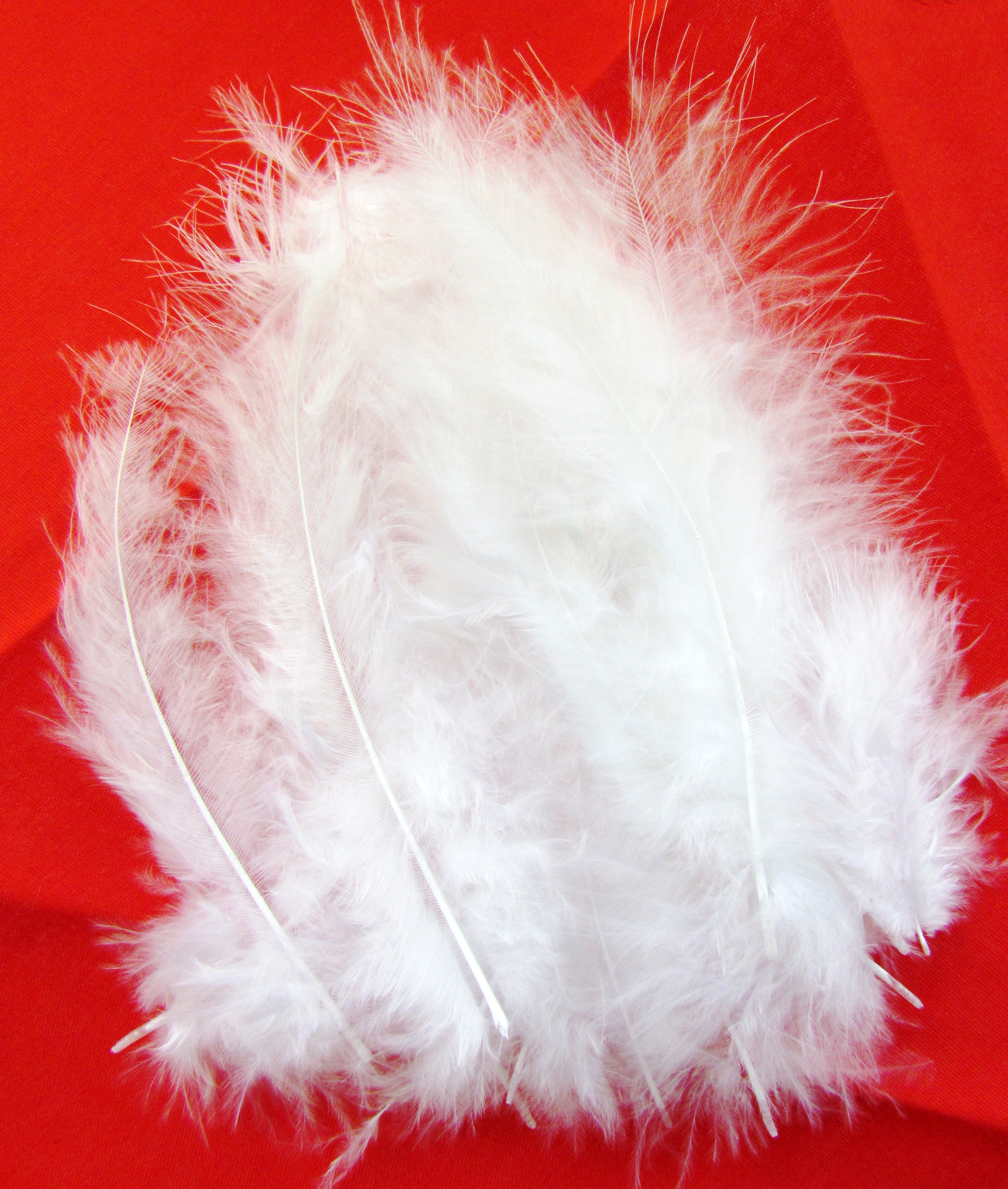 Flauschfedern-Set weiß - 1255