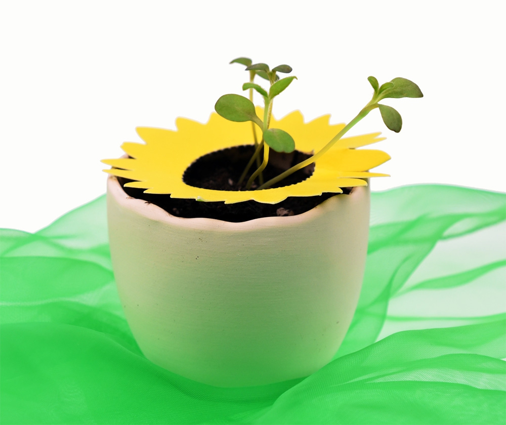 Pflanzkärtchen Sonnenblume - 1635