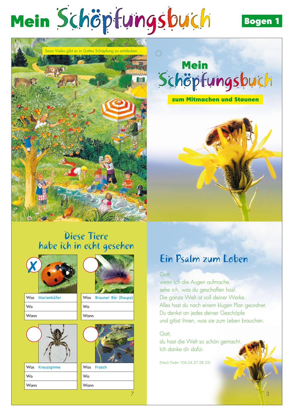 Bastelbogen: Mein Schöpfungsbuch - 56 Bastelbogen: Mein Schöpfungsbuch - 56